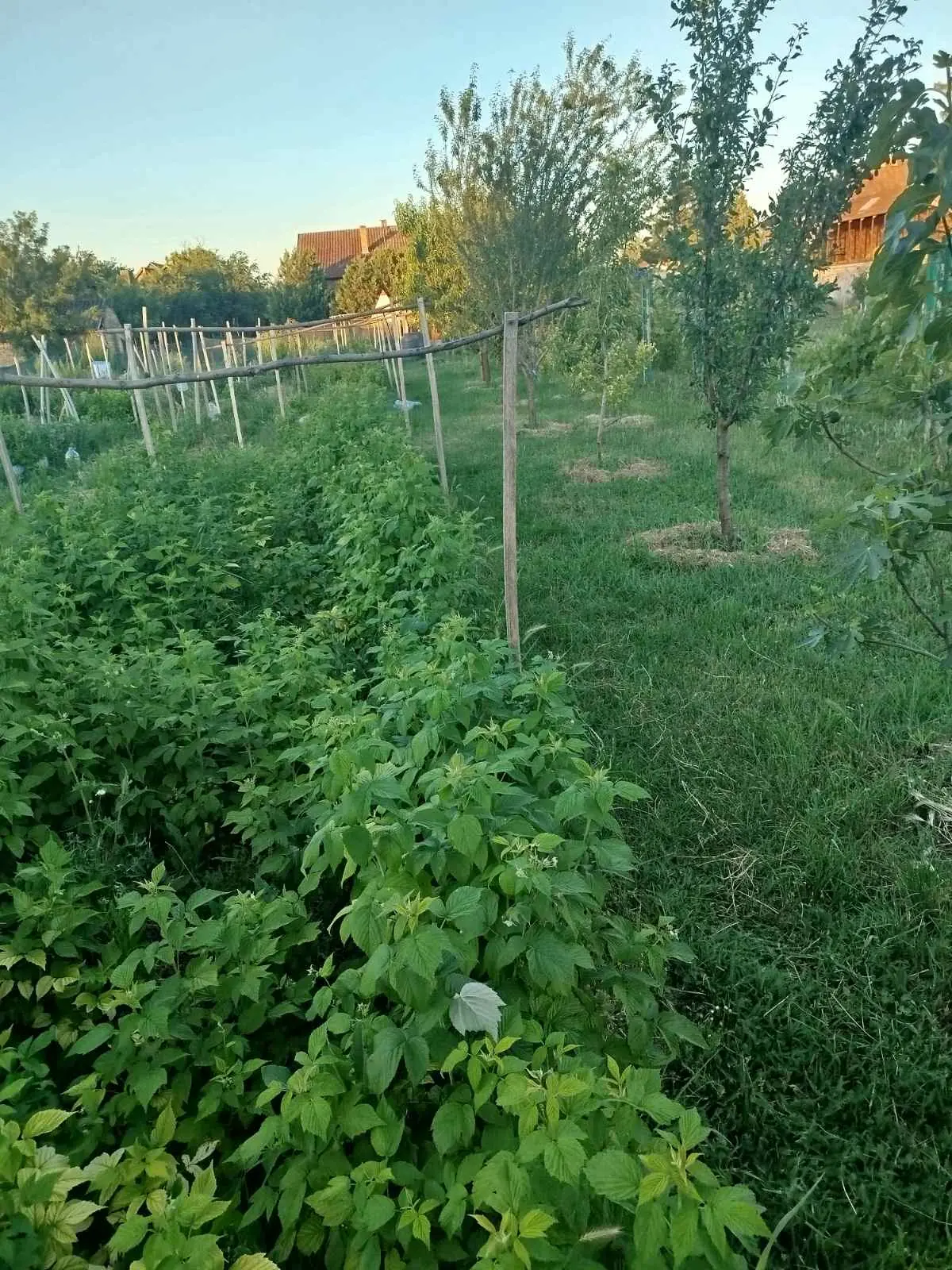 Nova kuća 204m² / plac 12ari – Radičević, Bečej